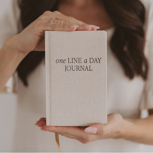 Person holding a 'one LINE a DAY JOURNAL' book
