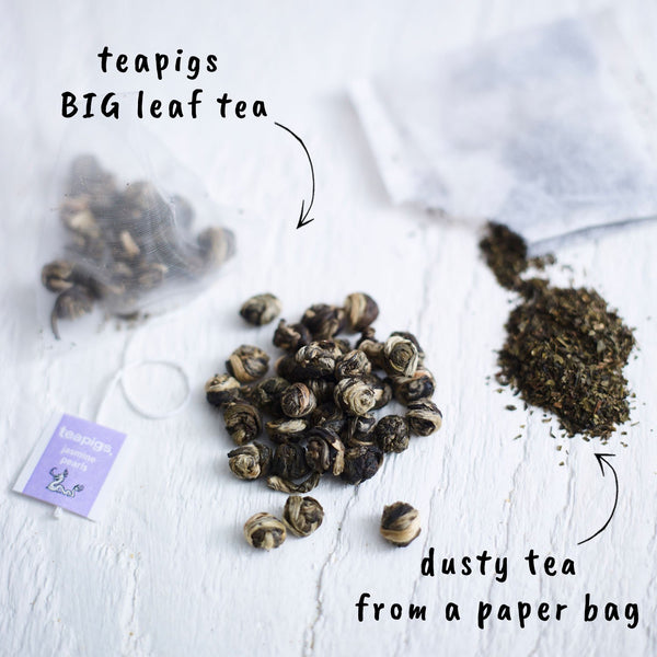 Jasmine Pearls Green Tea (15 servings)
